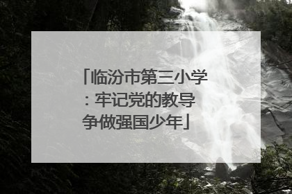 临汾市第三小学：牢记党的教导 争做强国少年