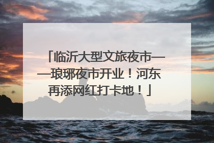 临沂大型文旅夜市——琅琊夜市开业！河东再添网红打卡地！