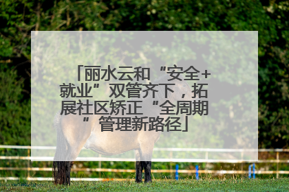 丽水云和“安全+就业”双管齐下，拓展社区矫正“全周期”管理新路径