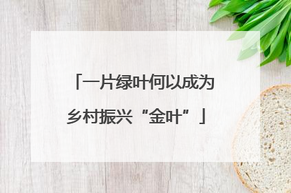 一片绿叶何以成为乡村振兴“金叶”