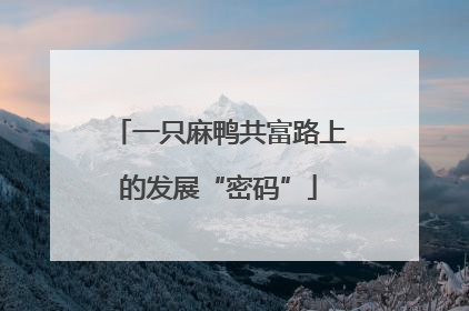 一只麻鸭共富路上的发展“密码”