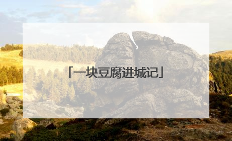 一块豆腐进城记
