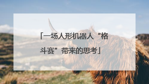 一场人形机器人“格斗赛”带来的思考