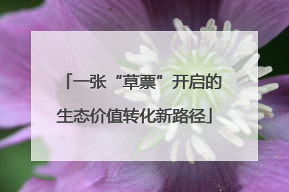 一张“草票”开启的生态价值转化新路径