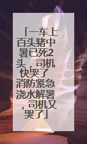 一车上百头猪中暑已死2头，司机快哭了 消防紧急浇水解暑，司机又哭了