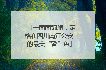 一面面锦旗，定格在四川南江公安的最美“警”色