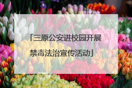 三原公安进校园开展禁毒法治宣传活动