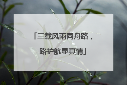 三载风雨同舟路，一路护航显真情