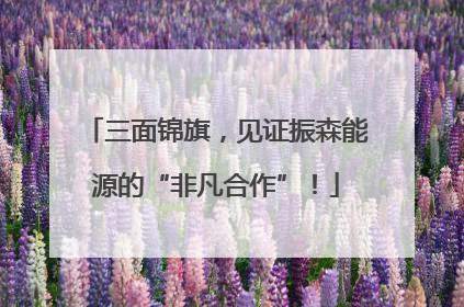 三面锦旗，见证振森能源的“非凡合作”！