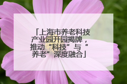 上海市养老科技产业园开园揭牌，推动“科技”与“养老”深度融合