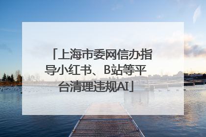 上海市委网信办指导小红书、B站等平台清理违规AI