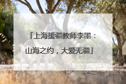 上海援疆教师李墨：山海之约，大爱无疆