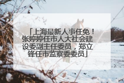 上海最新人事任免！张婷婷任市人大社会建设委副主任委员，郑立锋任市监察委委员