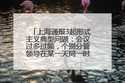 上海通报3起形式主义典型问题：会议过多过频，个别分管领导在某一天同一时段需参加3个会议