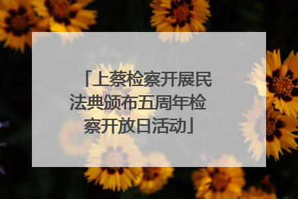 上蔡检察开展民法典颁布五周年检察开放日活动