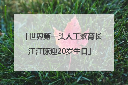 世界第一头人工繁育长江江豚迎20岁生日