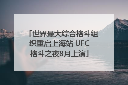 世界最大综合格斗组织重启上海站 UFC格斗之夜8月上演
