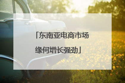 东南亚电商市场缘何增长强劲