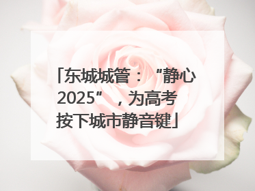东城城管：“静心2025”，为高考按下城市静音键