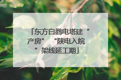 东方白鹳电塔建“产房” “陕电入皖”架线延工期