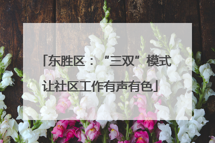 东胜区：“三双”模式让社区工作有声有色