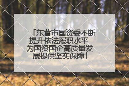 东营市国资委不断提升依法履职水平 为国资国企高质量发展提供坚实保障