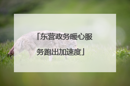 东营政务暖心服务跑出加速度