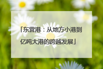 东营港：从地方小港到亿吨大港的跨越发展