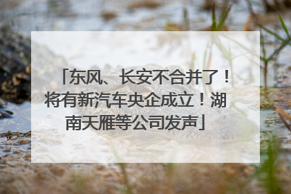东风、长安不合并了！将有新汽车央企成立！湖南天雁等公司发声