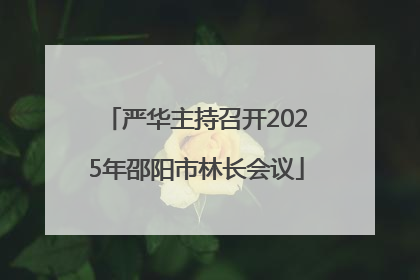 严华主持召开2025年邵阳市林长会议