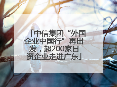 中信集团“外国企业中国行”再出发，超200家日资企业走进广东