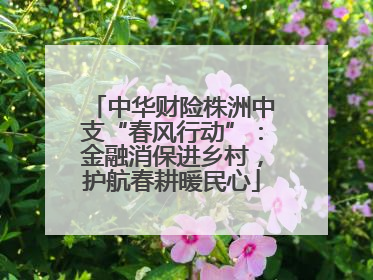 中华财险株洲中支“春风行动”：金融消保进乡村，护航春耕暖民心