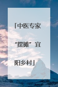 中医专家“摆摊”宜阳乡村