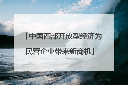 中国西部开放型经济为民营企业带来新商机