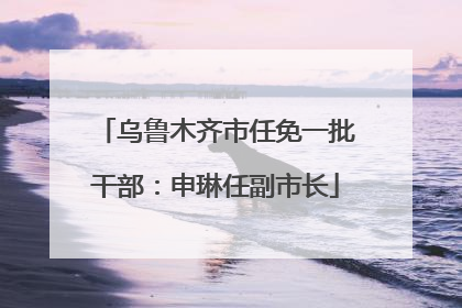 乌鲁木齐市任免一批干部：申琳任副市长