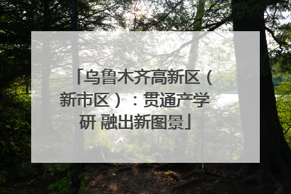 乌鲁木齐高新区（新市区）：贯通产学研 融出新图景