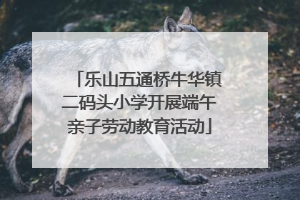 乐山五通桥牛华镇二码头小学开展端午亲子劳动教育活动