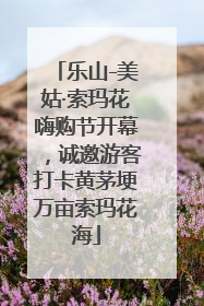 乐山-美姑·索玛花嗨购节开幕，诚邀游客打卡黄茅埂万亩索玛花海