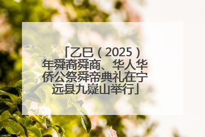 乙巳（2025）年舜裔舜商、华人华侨公祭舜帝典礼在宁远县九嶷山举行