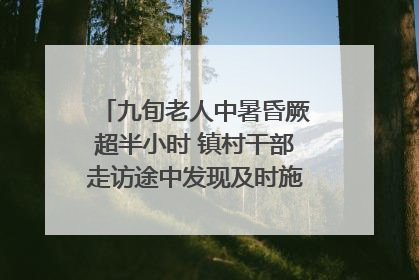 九旬老人中暑昏厥超半小时 镇村干部走访途中发现及时施救｜看见正能量