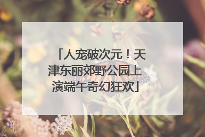 人宠破次元！天津东丽郊野公园上演端午奇幻狂欢