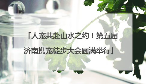 人宠共赴山水之约！第五届济南携宠徒步大会圆满举行