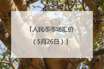 人民币市场汇价（5月26日）