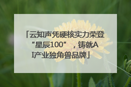 云知声凭硬核实力荣登“星辰100”，铸就AI产业独角兽品牌