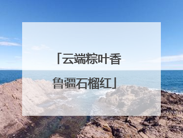 云端粽叶香 鲁疆石榴红