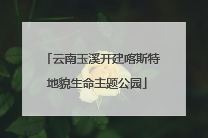云南玉溪开建喀斯特地貌生命主题公园