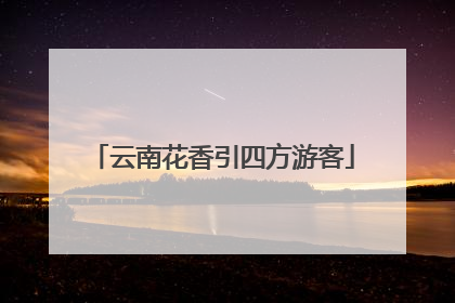 云南花香引四方游客