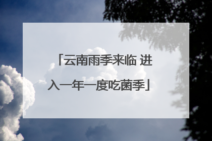 云南雨季来临 进入一年一度吃菌季