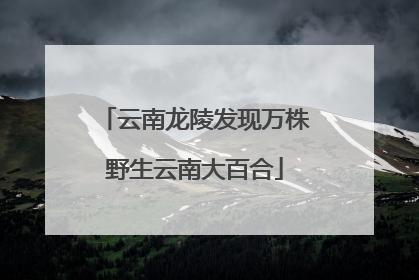 云南龙陵发现万株野生云南大百合