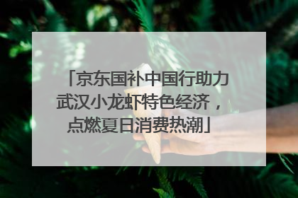 京东国补中国行助力武汉小龙虾特色经济，点燃夏日消费热潮